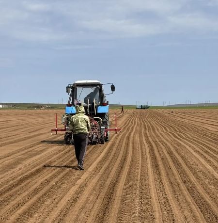 На 30% выросла средняя зарплата сельхозработников в Астраханской области