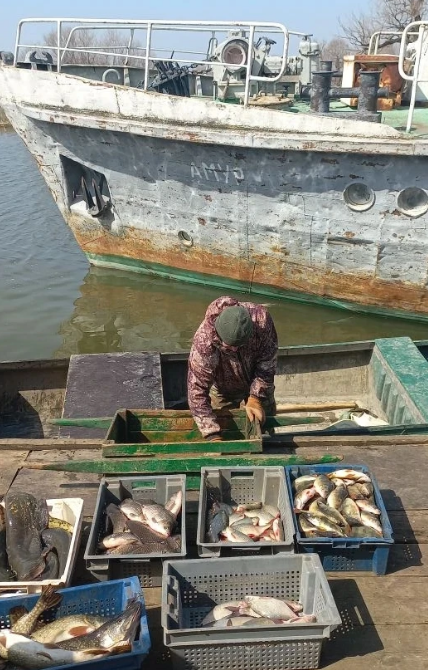 Почти в два раза выросло число рыбаков, трудоустроенных Кадровым центром с начала путины в Астрахани