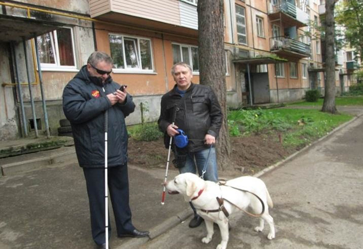 Служба занятости Карелии приглашает НКО к отбору проектов на трудоустройство людей с инвалидностью