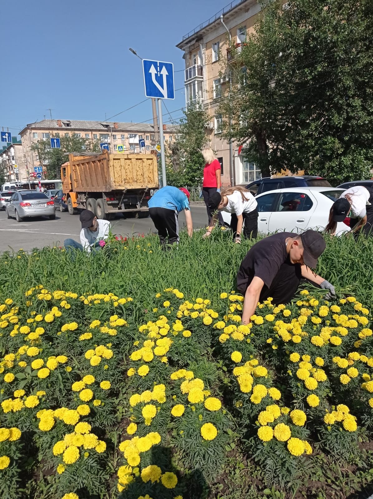 Более 8 тыс. подростков смогли заработать летом благодаря службе занятости Омской области
